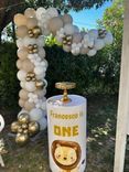 Allestimento Primo Compleanno Safari Elegante – Balloon Arch Beige e Oro con Sweet Table Personalizzato